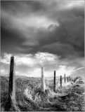 031 Fence,Ken Hurst-Earl