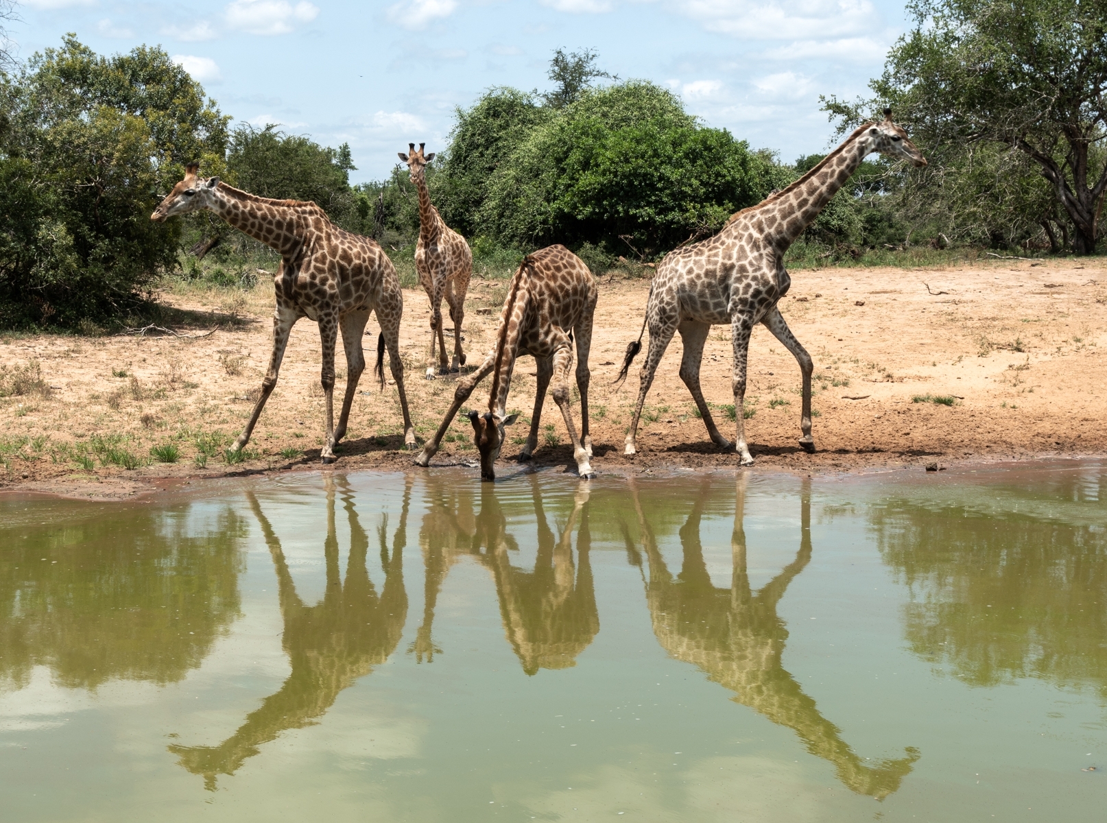 037 Time For A Drink